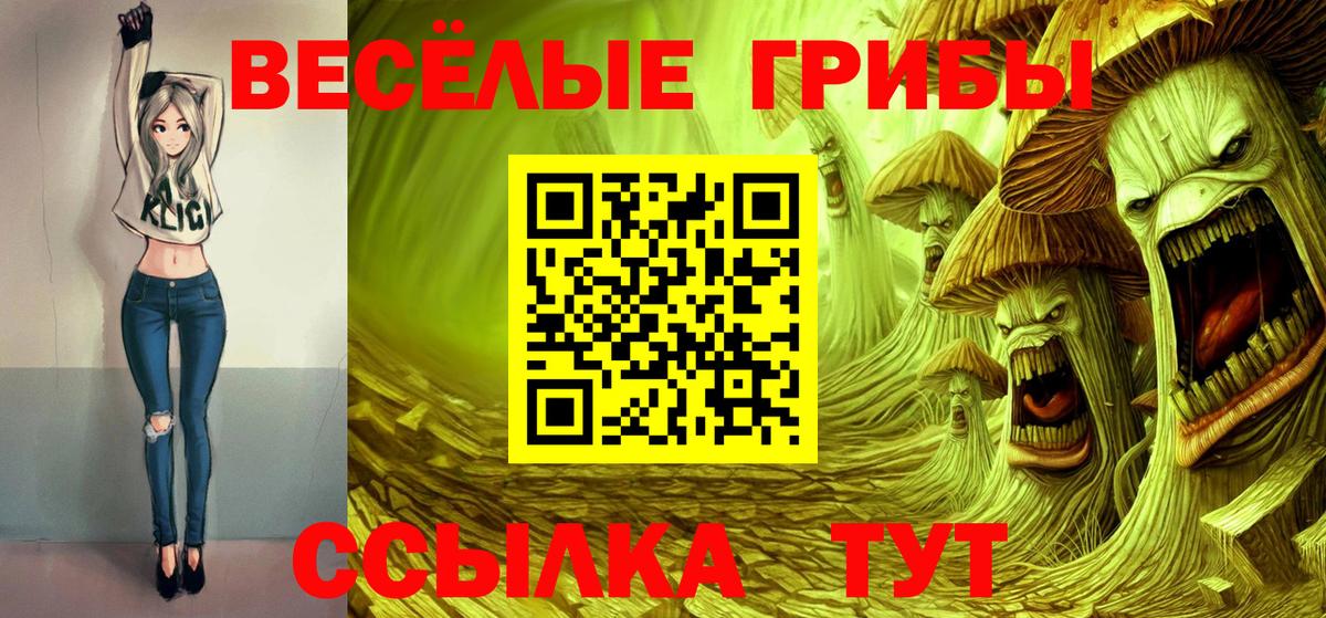 цена наркотик  Вход с VPN  Знаменск  Галлюциногенные грибы Magic Shrooms 