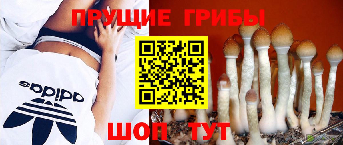 Псилоцибиновые грибы Magic Shrooms Знаменск