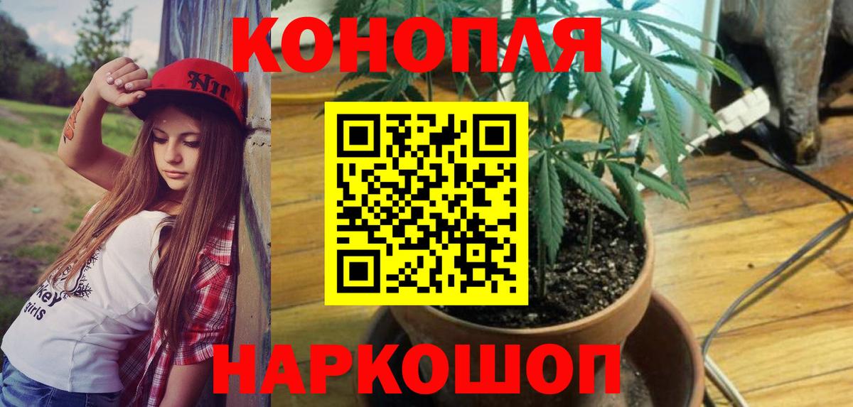 Конопля White Widow  Каннабис сатива  Бошки Шишки конопля  Марихуана SATIVA & INDICA  Вход с VPN  Знаменск 