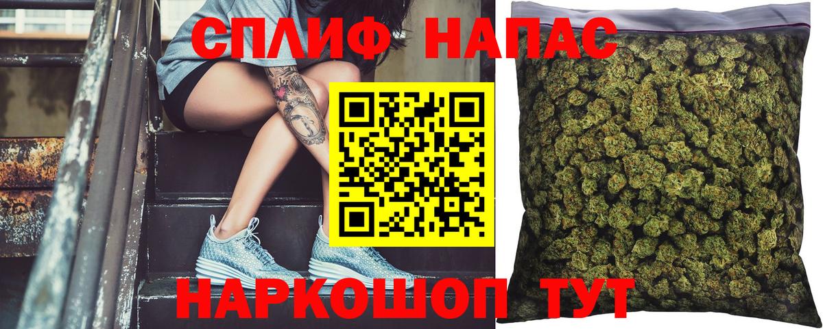 Бошки марихуана конопля Знаменск